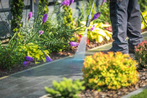 Best Fence Cleaning  in Pinardville, NH
